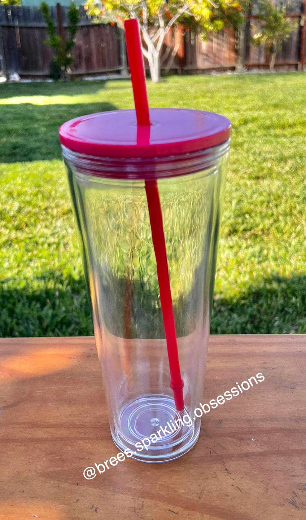 Light Red 24oz Double Wall Tumblers